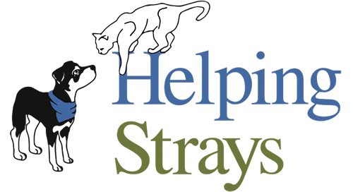 Helping Strays